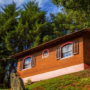 Image4