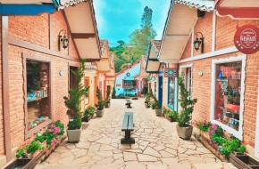 Monte Verde4